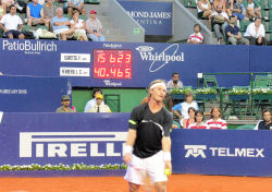 tenis